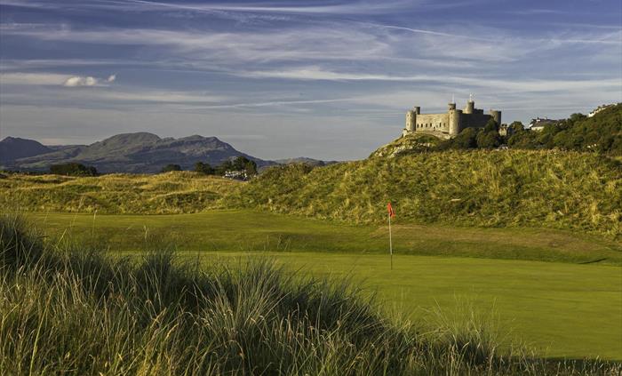 14th green with Harlech Castle